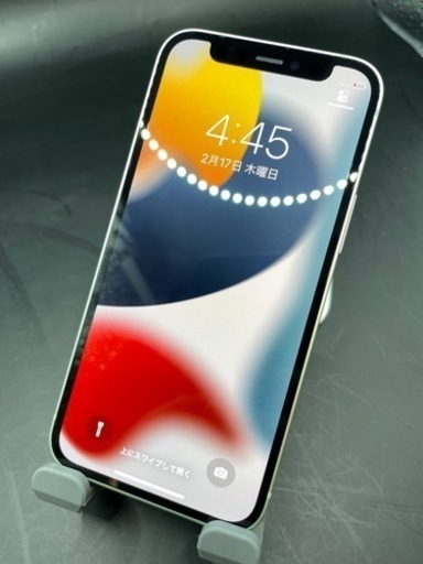 iPhone 12 mini グリーン 64GB SIMフリー #2045 | diyfishblogs.com