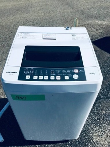 【限定製作】 ✨2019年製✨1887番 Hisense✨全自動電気洗濯機✨HW-T55C‼️ 洗濯機