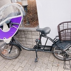 ビッケポーラ 電動車 中古車 18年式