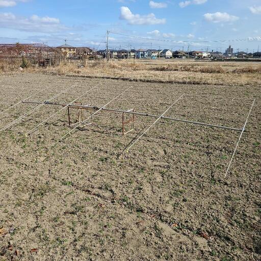 クリエイトデザイン製50MHz帯6エレメント八木アンテナ