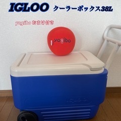 【ネット決済】クーラーボックス　igloo(イグルー)  38L...
