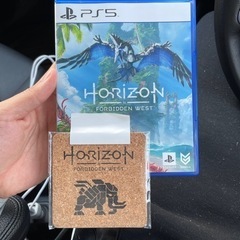 horizon PS5用