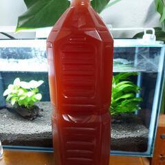 ⑨熱帯魚❗金魚❗メダカに❗PSB❗光合成細菌❗1500ml❗1本❗