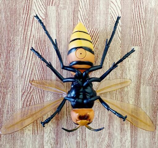 Bigスズメバチフィギュア昆虫 ゆう 入谷のフィギュアの中古あげます 譲ります ジモティーで不用品の処分