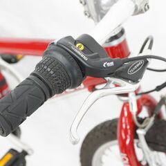 LOUIS GARNEAU 「ルイガノ」 LGS-J206 2016年モデル キッズバイク 子供自転車