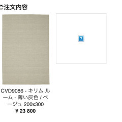 【ネット決済】カーペット(200 x 300 )
