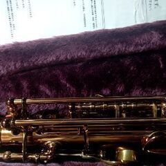 Cannonball AVR−L ヴィンテージ・リボーン ユッコ・ミラー氏 選定品 美品