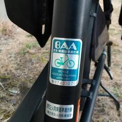 【決まりました】子供2人乗せ自転車！電動ではありません
