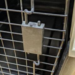 カラーバリケンウルトラ XL（大型犬向け）