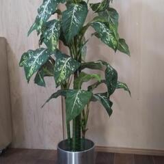 観葉植物（造花）差し上げます