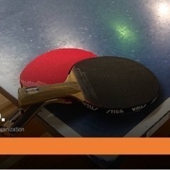 卓球🏓やりませんか😊