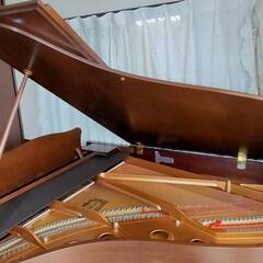 【他のサイトで取引交渉中のため受付一時停止！】ヤマハ C3L-QSXG 木目特注グランドピアノ（サイレントと自動演奏機能付き）