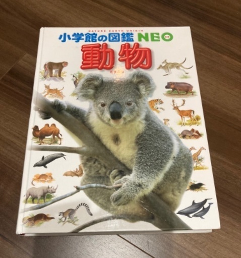 未使用 小学館図鑑neo 動物 コロッケ 浄心のキッズ用品 幼児教育 の中古あげます 譲ります ジモティーで不用品の処分 未使用 小学館図鑑neo 動物 コロッケ 浄心のキッズ用品 幼児教育 の中古あげます 譲ります ジモティーで不用品の処分