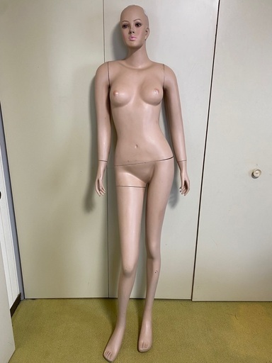 マネキン 全身 トルソー