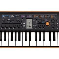 CASIO SA76