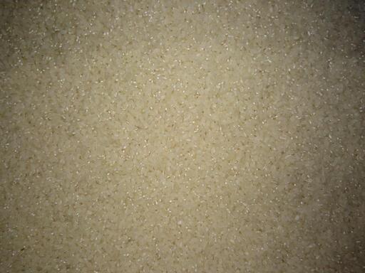 阿東地福の山奥のコシヒカリ白米(玄米30キロ分)