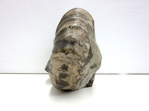 化石 アンモナイト 幅18.0cm 高さ15.5cm 奥行12.0cm 約3.5kg