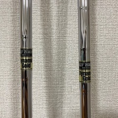 タイトリスト H2 818 UT 19°23° 2本セット