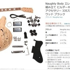 【ネット決済・配送可】DIYのエレキギターキット