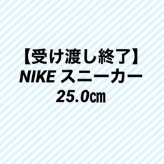NIKE スニーカー　25.0㎝
