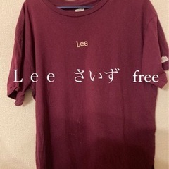 ㊹ＬＥＥの服 freeサイズ【決まりました】