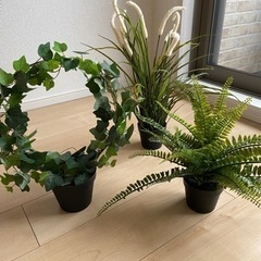人工観葉植物　IKEA  3種セット