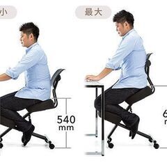 (椅子) Ergonomic Chair