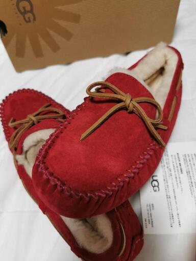 UGG W DAKOTA 新品未使用　24cm