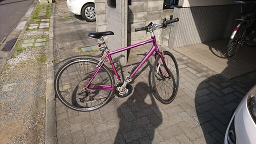 ジャイアントエスケープ R3 2010年モデル サイズM（500）パープル