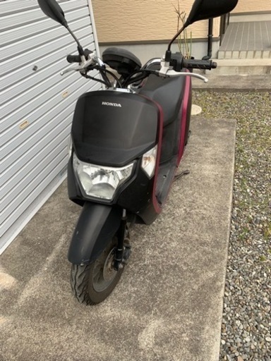 ホンダ ダンク50cc