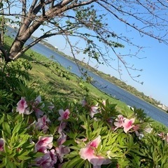 佐鳴湖ウォーキング参加者募集！