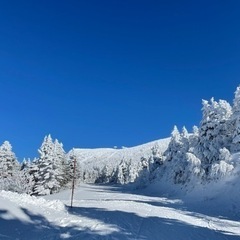 2月27(日)米沢スキー場で滑れる方募集します。