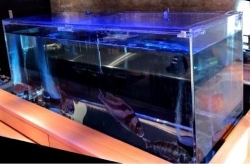 いけす 活魚水槽つくります うろこ 内灘のその他の無料広告 無料掲載の掲示板 ジモティー