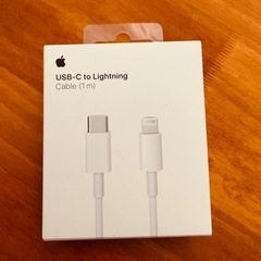 Apple正規　Lightning USB-C 未開封