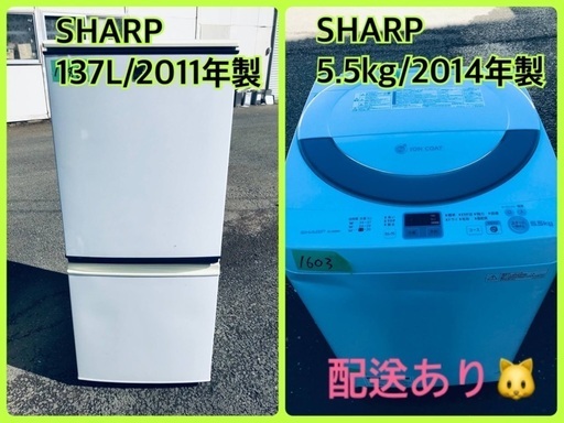 限界価格挑戦！！新生活家電♬洗濯機/冷蔵庫♬
