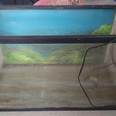 ６０cm水槽&Gexのウォーターポンプ　新鮮なアナカリスもの画像
