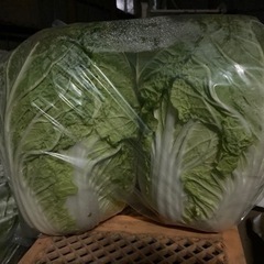 野菜！安値‼️