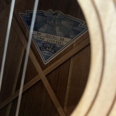 Cole Clark ギター