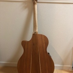 Cole Clark ギター