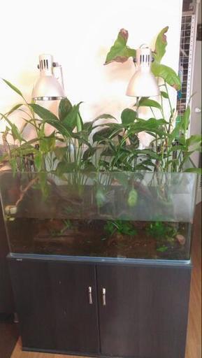 ９０ｃｍ水槽１式