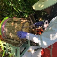 日本ミツバチ同好会 『遊蜂』 養蜂チャレンジしてみませんか？