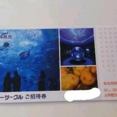 【格安】　新江ノ島水族館　入館チケット