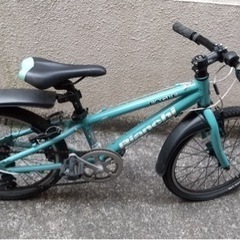 ビアンキ　イーグル　子供　マウンテンバイク