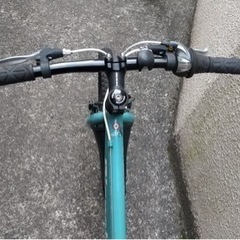 ビアンキ　イーグル　子供　マウンテンバイク