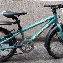 ビアンキ　イーグル　子供　マウンテンバイク