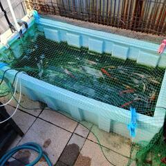 静岡県 御殿場駅の水槽の中古が安い 激安で譲ります 無料であげます ジモティー
