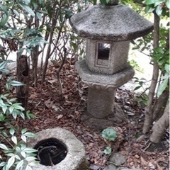 灯籠　庭園　2月25日まで