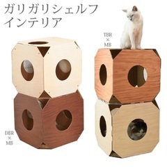 新品未開封　猫用　爪研ぎBOX ガリガリシェルフ2個入り　ティー...