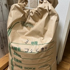 玄米　20キロ