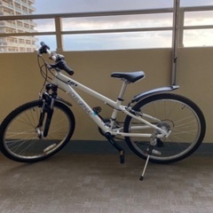 【取引完了】ルイガノ　クロスバイク24インチ（洗車済み）